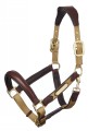 Capella Headcollar